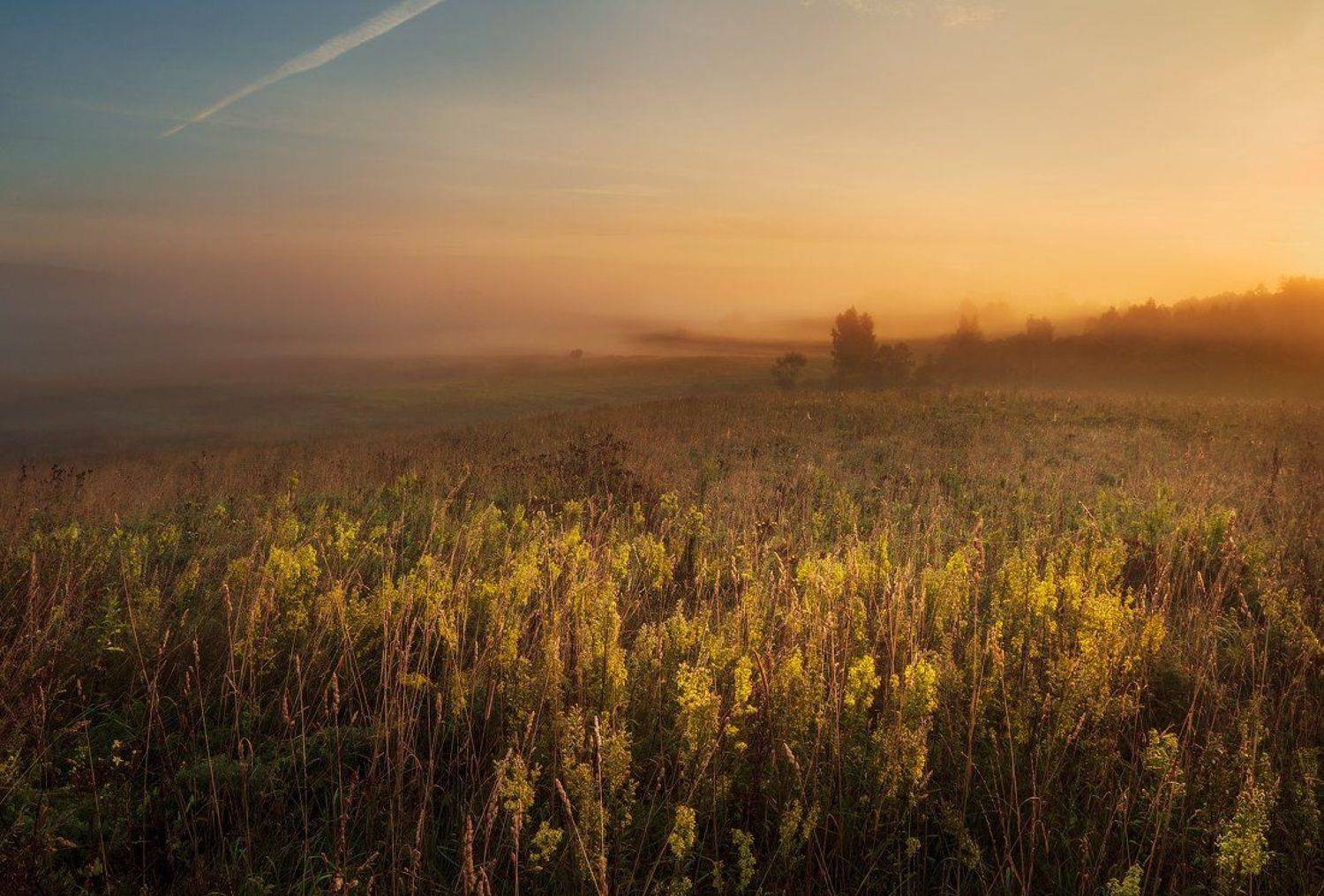 morning, sunrise, mist,  summer, fog, trees,  clouds, colours, meadow, blossom, hills, valley, Justinas Kondrotas
