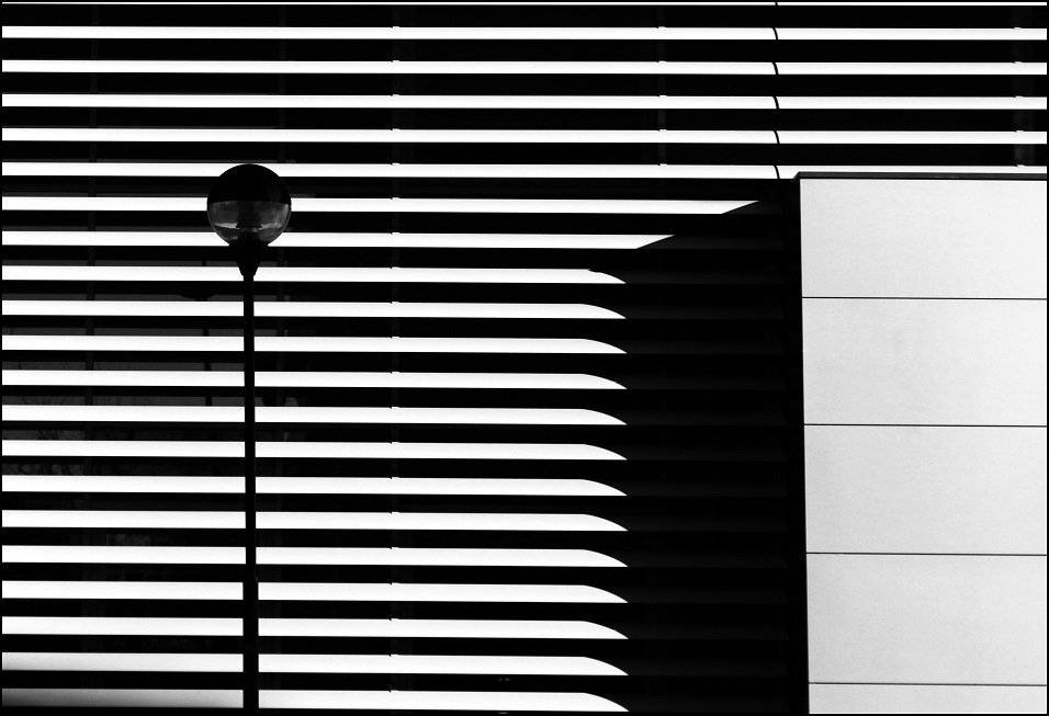 , Krzysztof Trojanowski