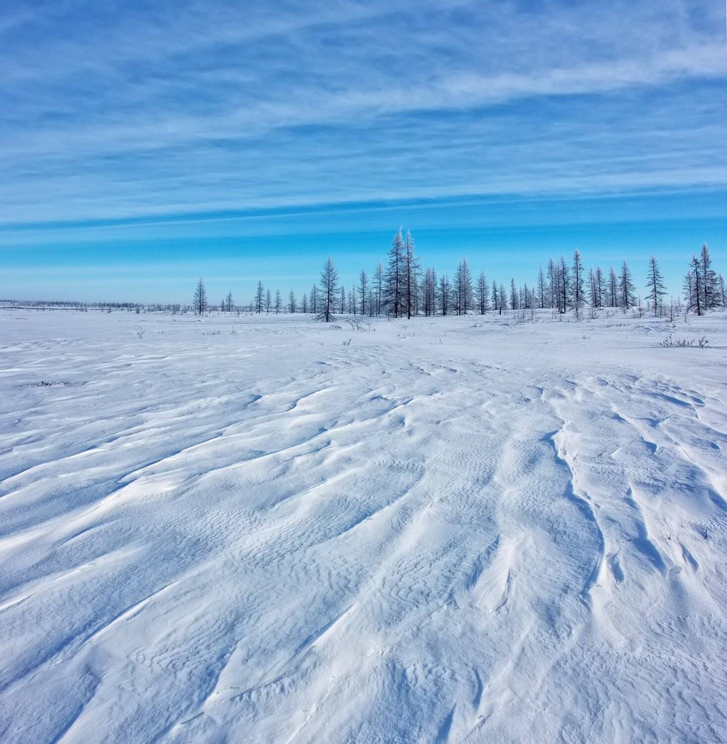 , Николай Андреев