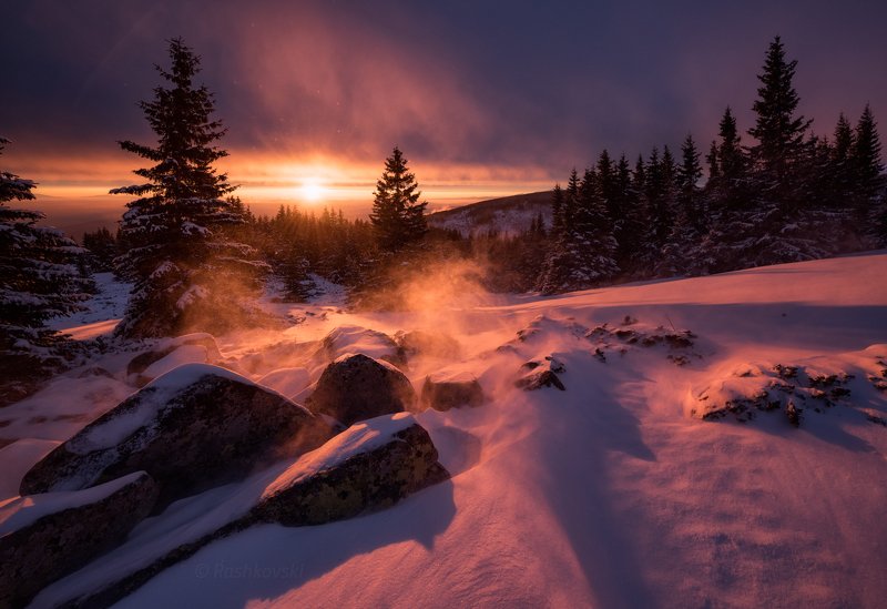 Winter fairy scene