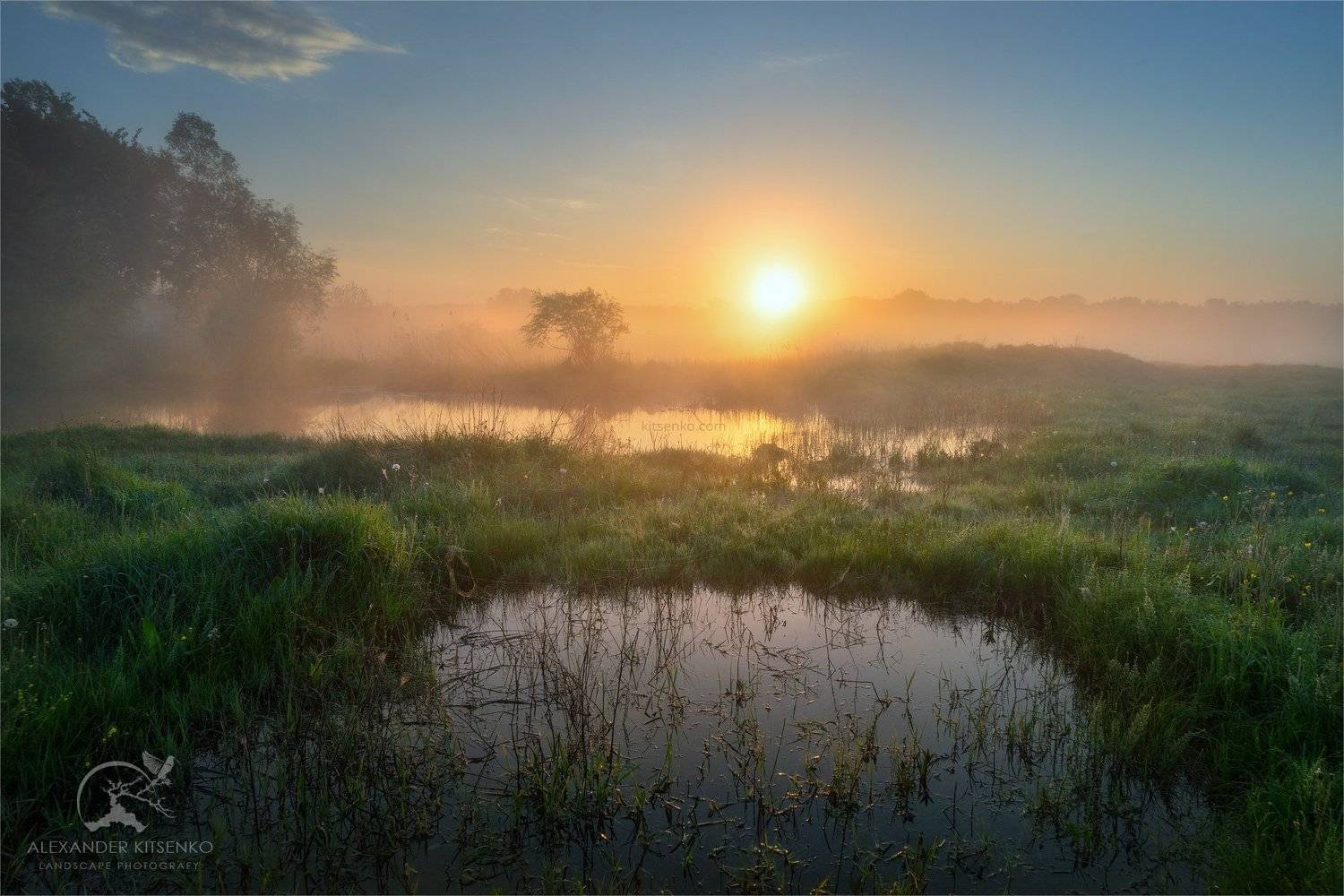 утро, луг, весна, солнце, рассвет, туман, Александр Киценко