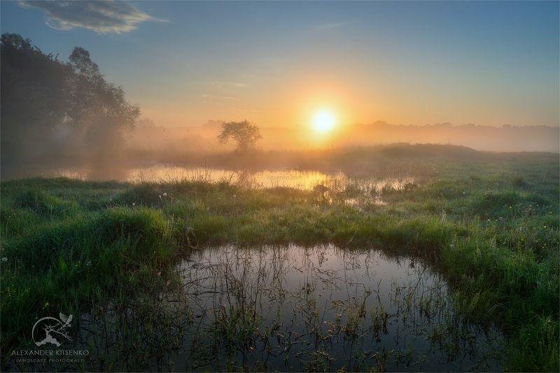 утро, луг, весна, солнце, рассвет, туман О Пользе Весенних Луж фото превью