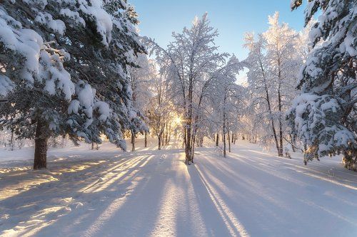 Февраль Печоры