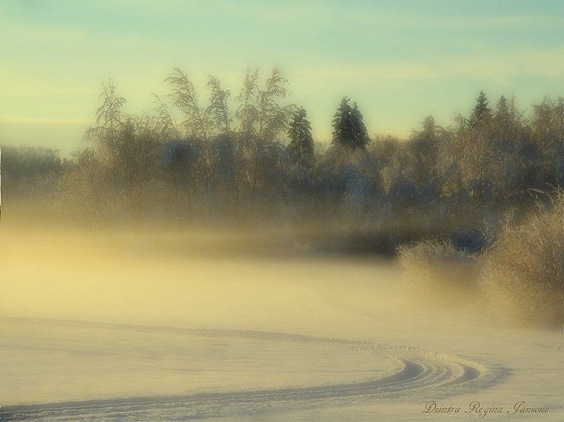 sunset,mist,fog,landscape,winter,snow, sunset in the mist фото превью