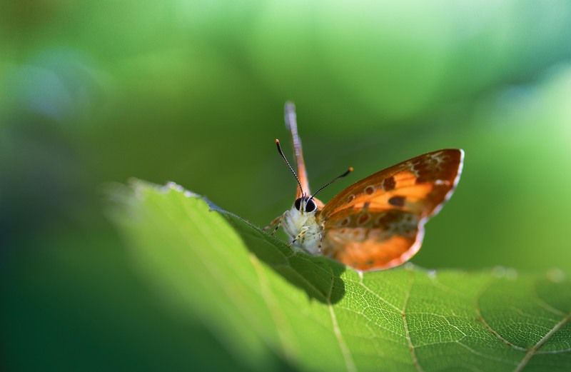 Настройка антенны  фото превью