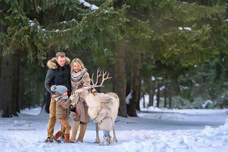 зимняя прогулка, зимняя сказка, в зимнем лесу, семейнаяя фотосессия, зимняя семейная фотосесиия, детский фотограф, детский и семейный фотограф в минске, семейный фотограф, Татьяна