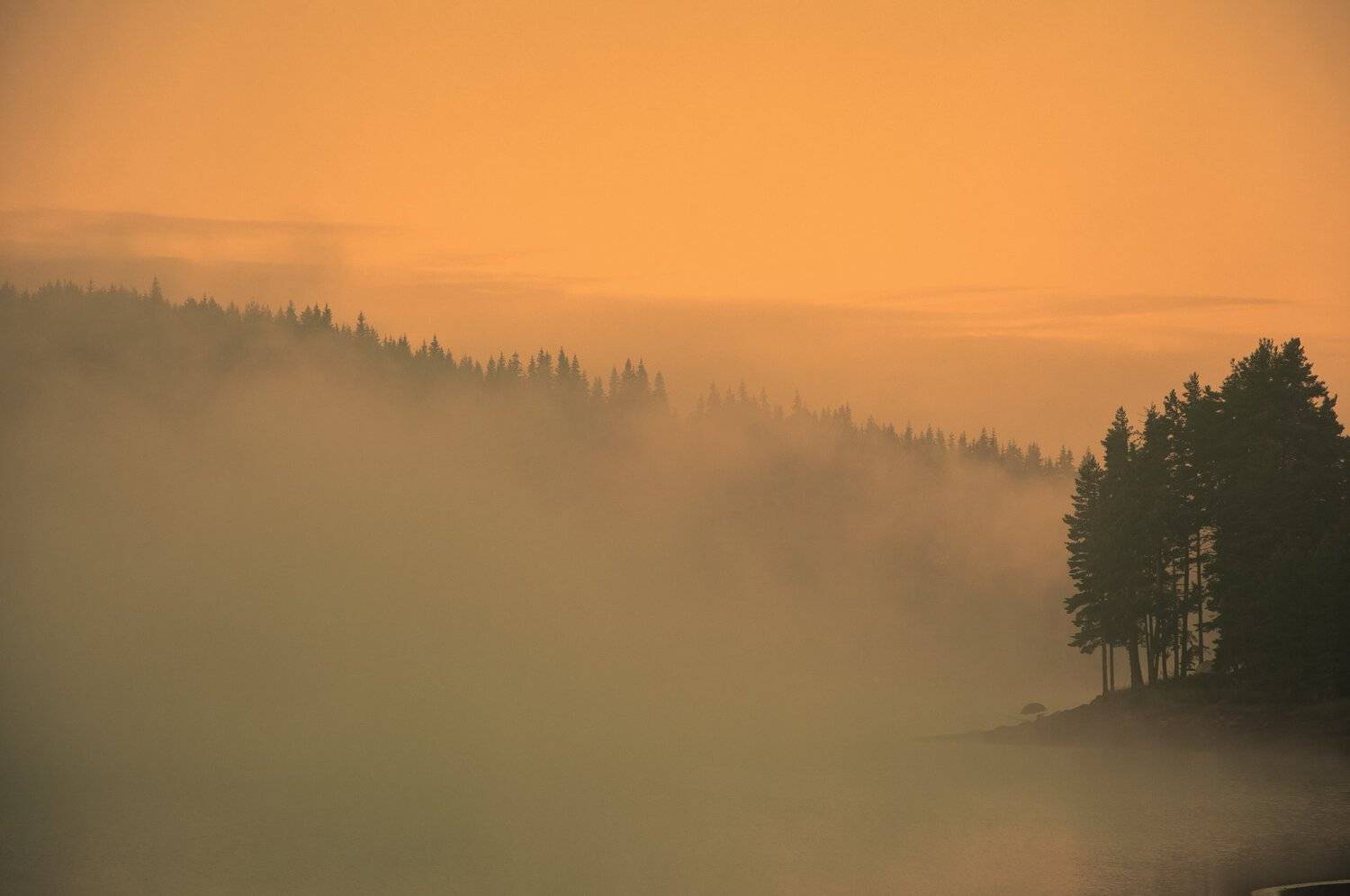 nikon d90, Tihomir Petkov