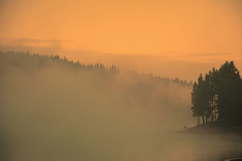 nikon d90 родопско утро фото превью