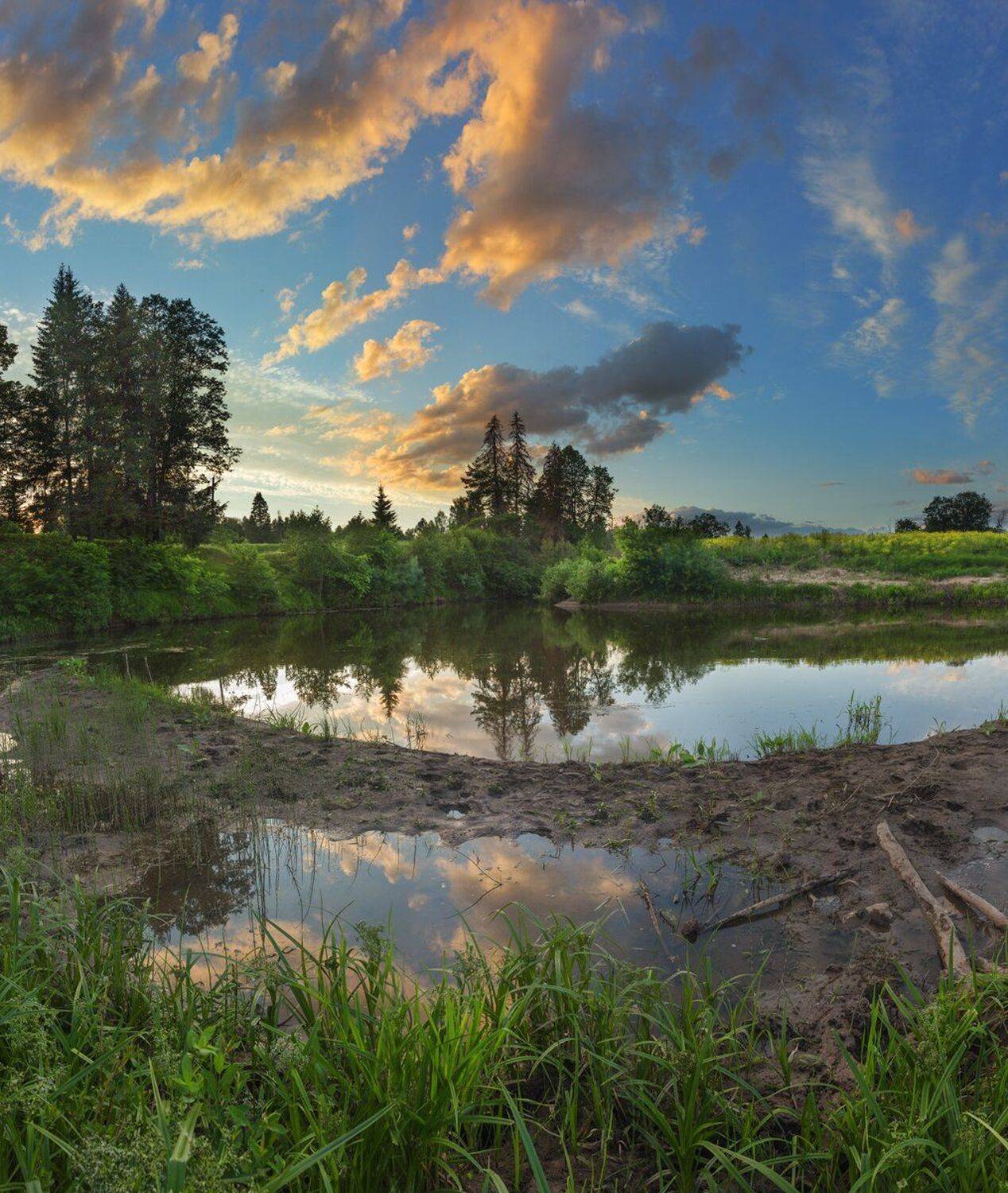 , Николай Андреев