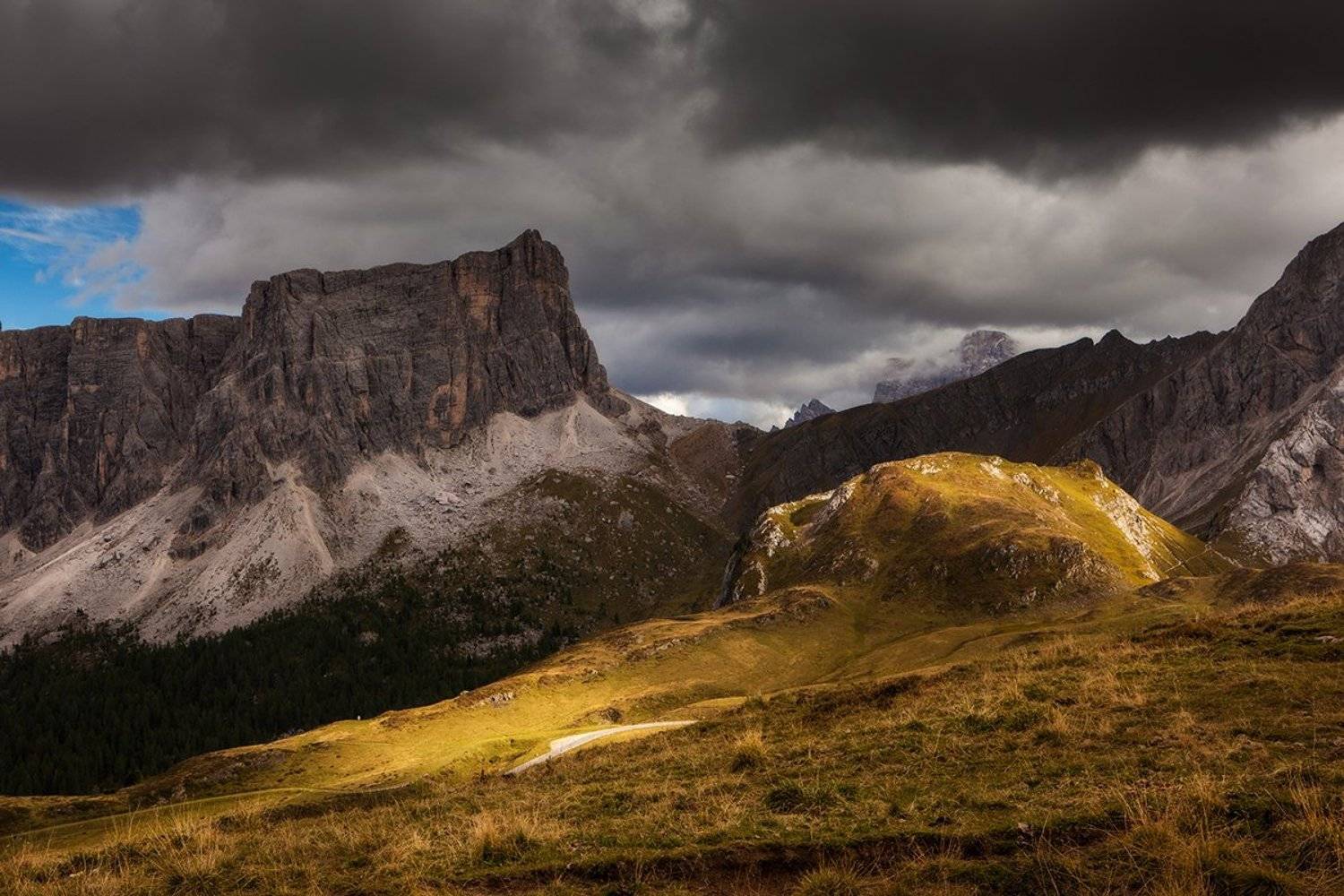 , Света  Черникова