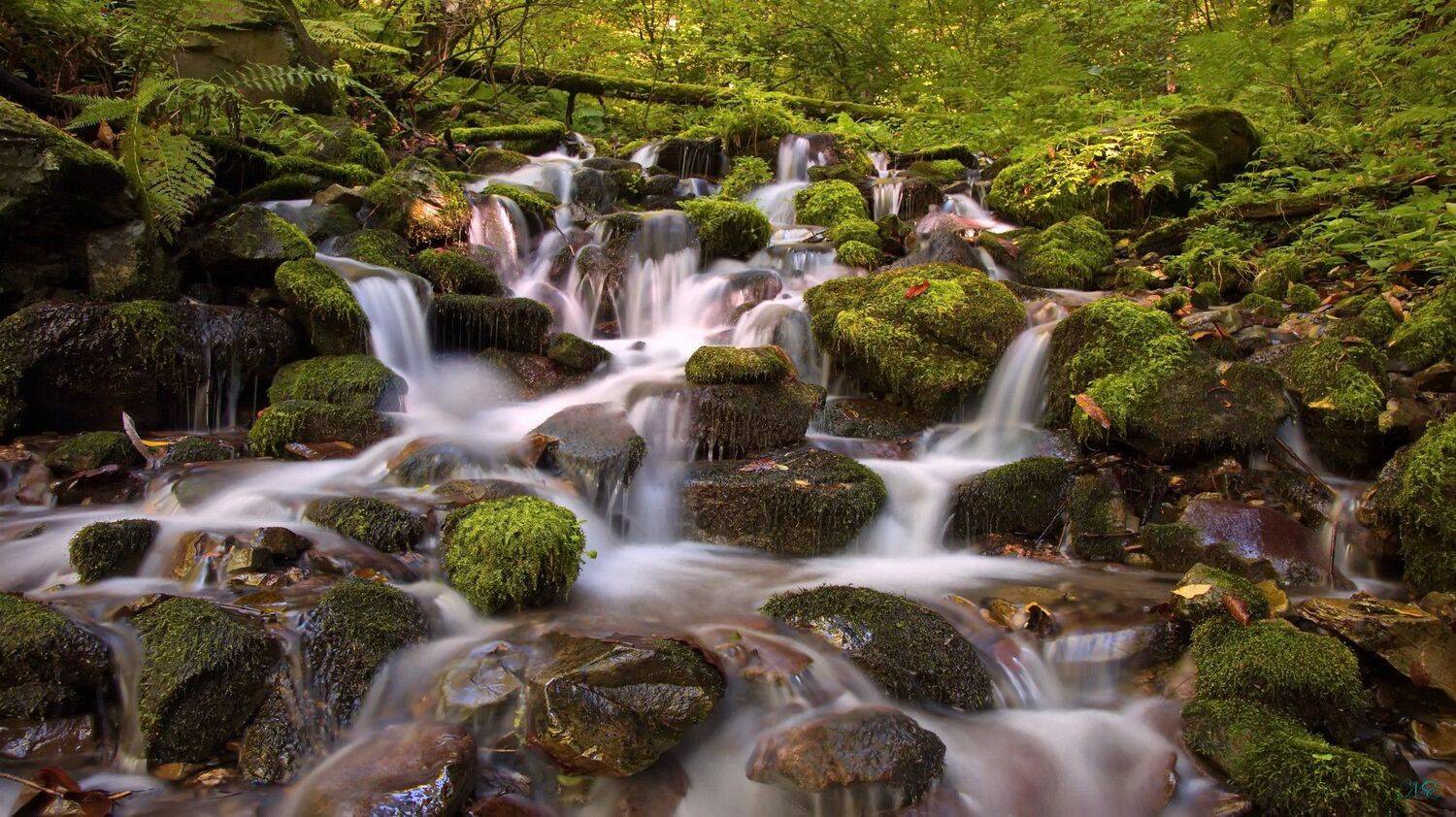 родник горный, Евгений Никишин