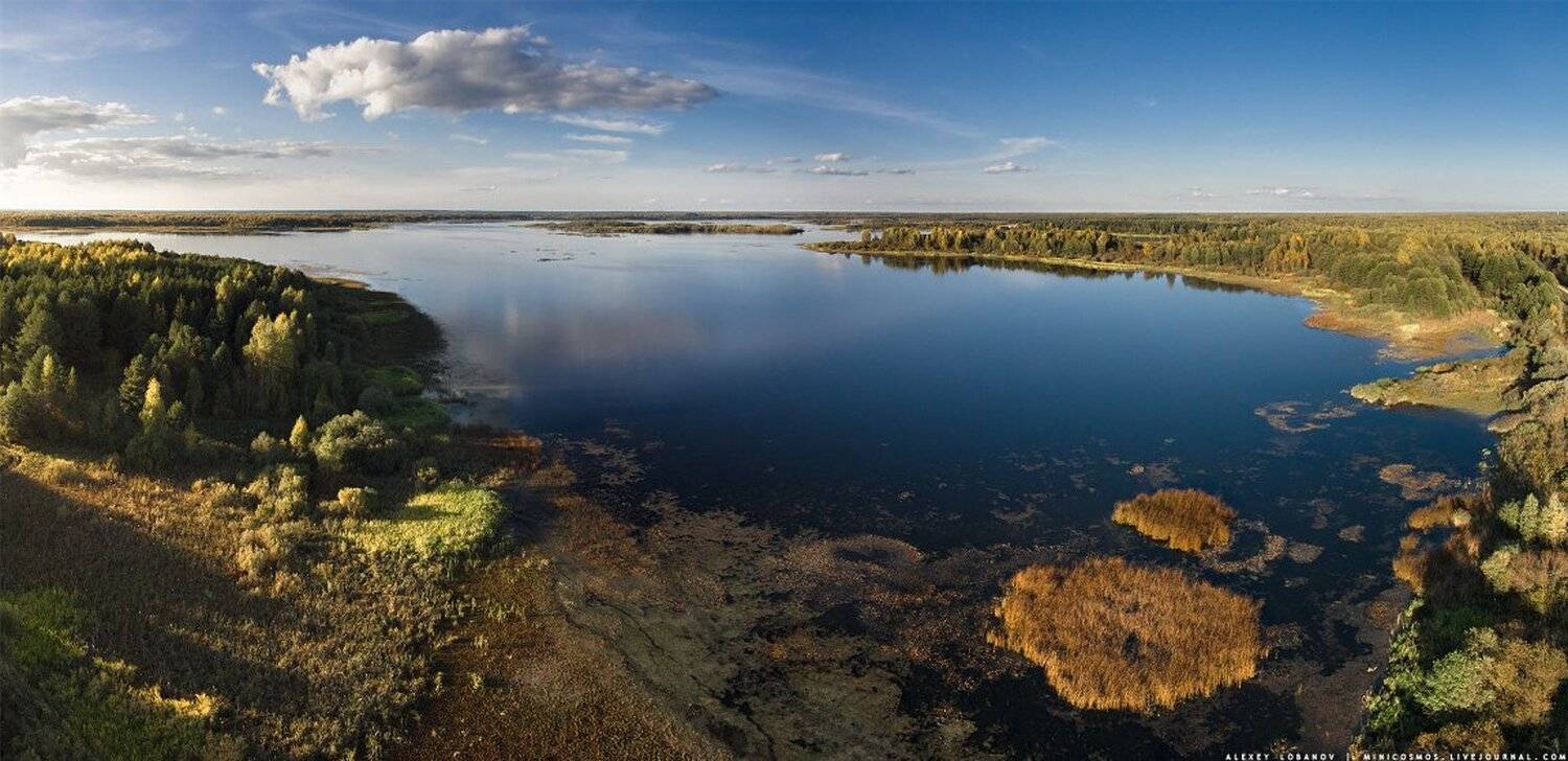 ярославская область, Алексей Лобанов