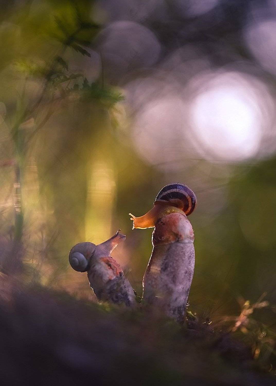 , Вячеслав Мищенко