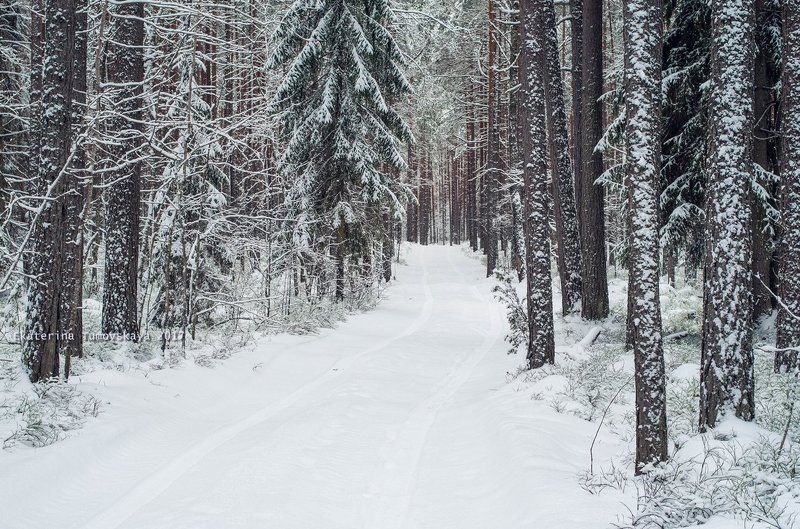 Волшебство фото превью