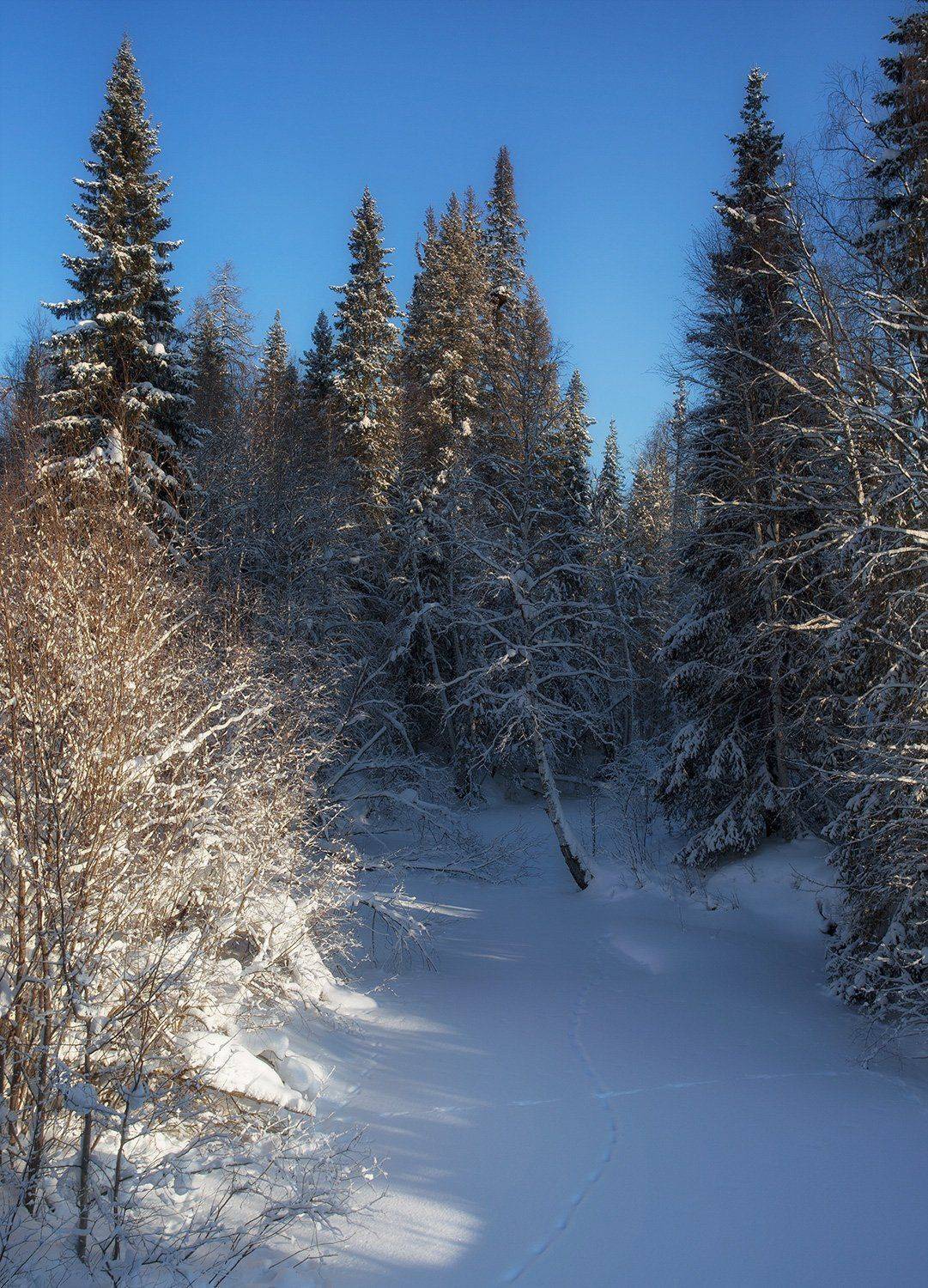 , Поташев Александр