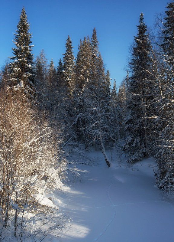 ********** фото превью