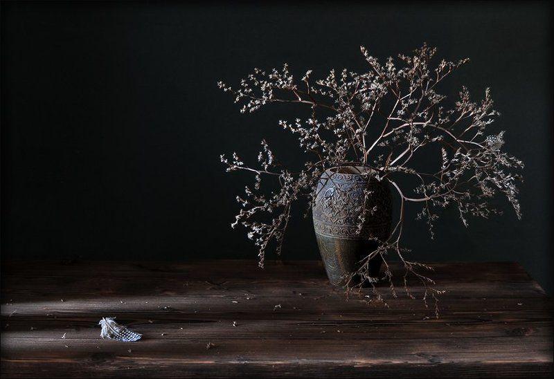 натюрморт, перо , сухоцвет С перепелиным пером... фото превью