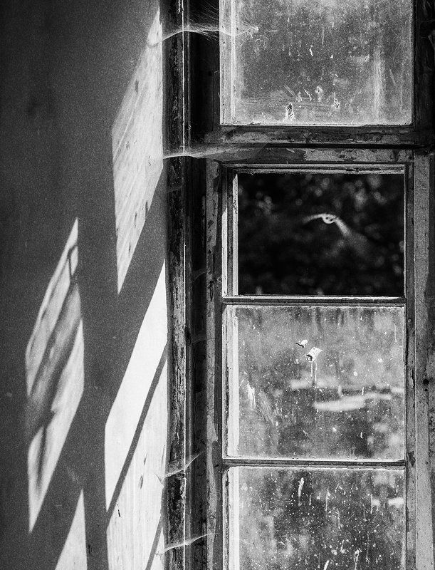 UFO фото превью