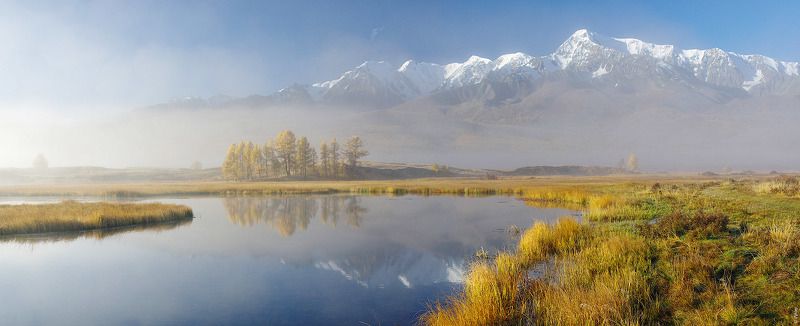 PRO решение фото превью