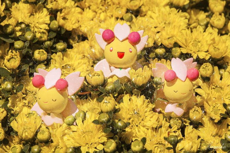 фото превью