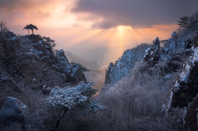 Korea Frozen Valley фото превью