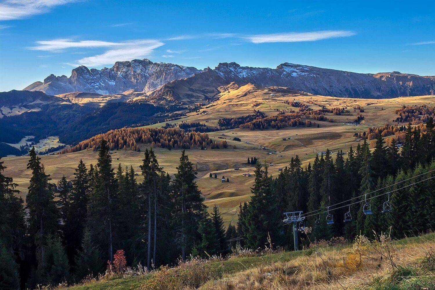 , Игорь Дубровский