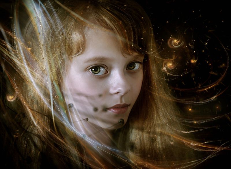 Светлячок. фото превью