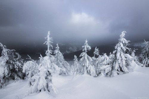 Жизнь на хребте