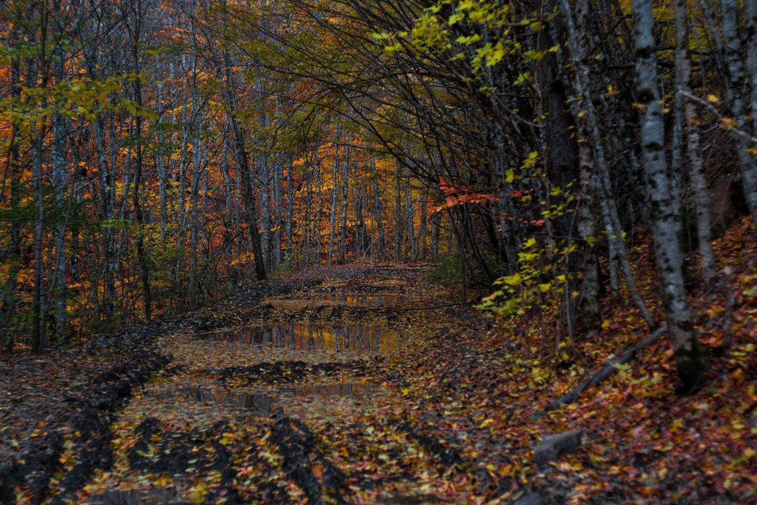 , Угрюмов Игорь