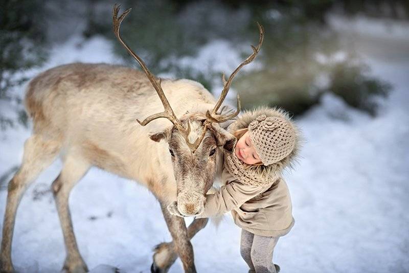 зимняя прогулка, зимняя сказка, в зимнем лесу, семейнаяя фотосессия, зимняя семейная фотосесиия, детский фотограф, детский и семейный фотограф в минске, семейный фотограф, Татьяна