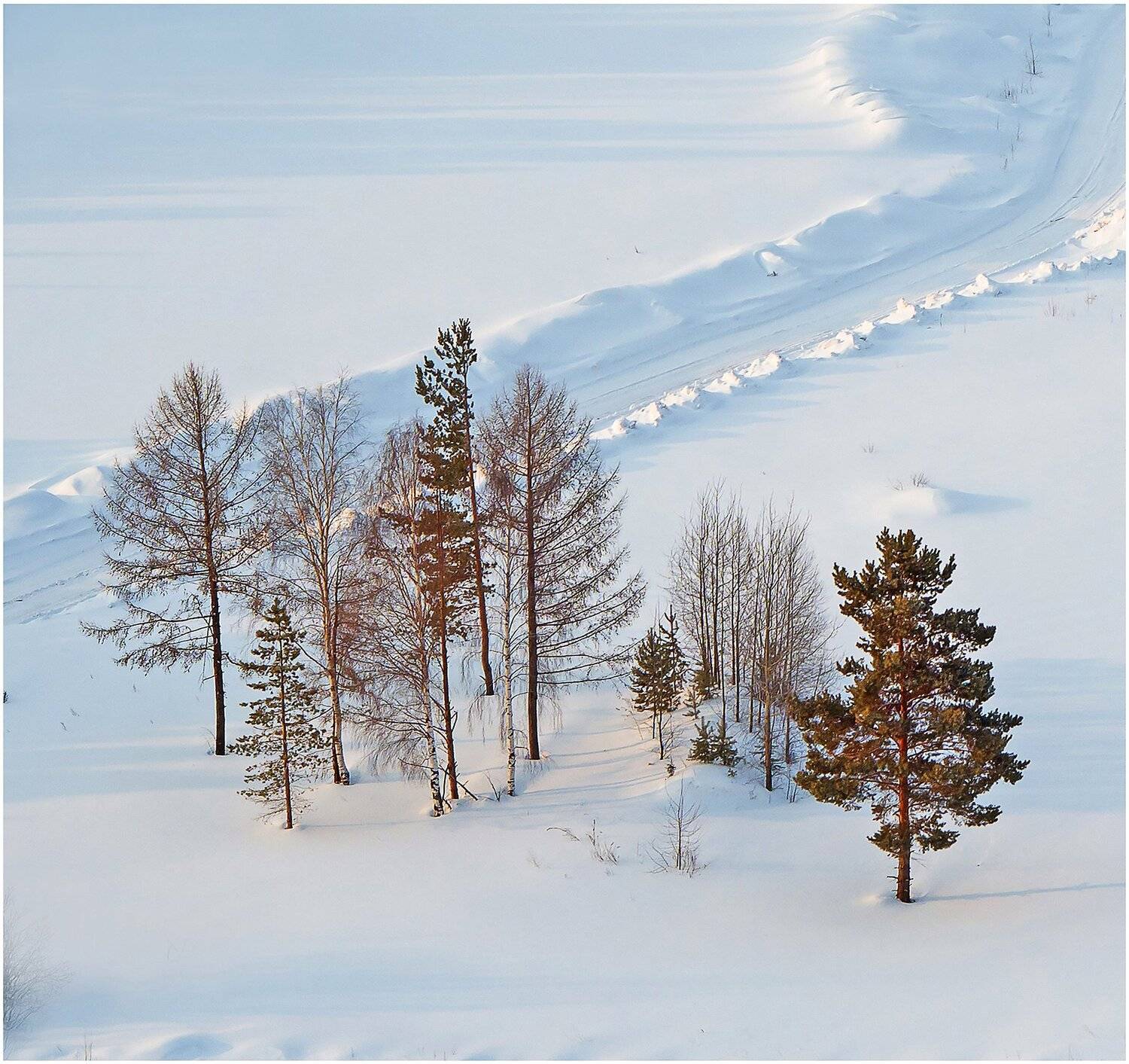 снег деревья дорога восход., Воинков Виктор