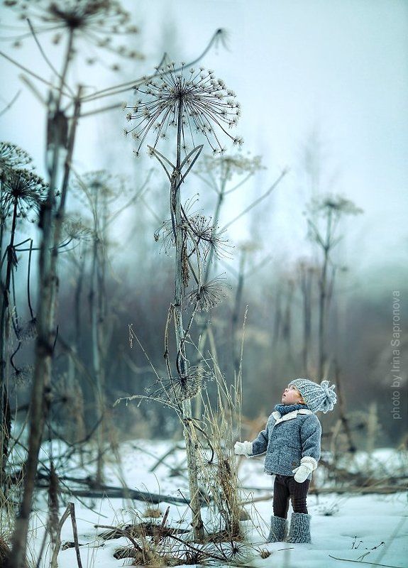 в укропе фото превью