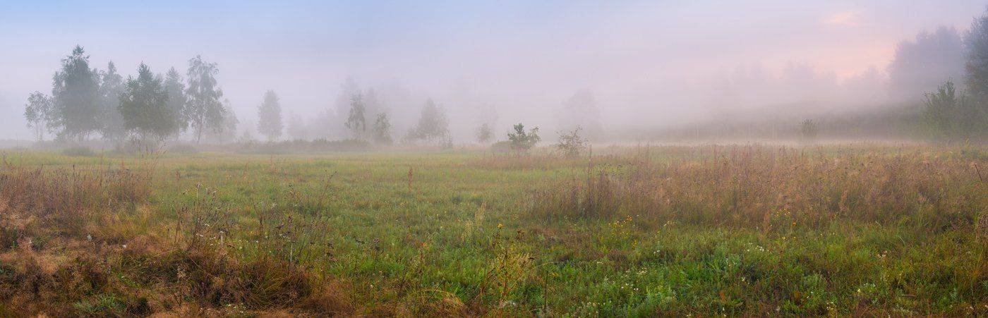 лето, луг, рассвет, Галанзовская Оксана