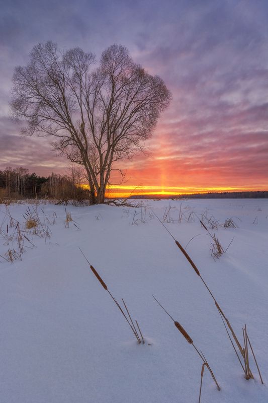 На закате дня фото превью
