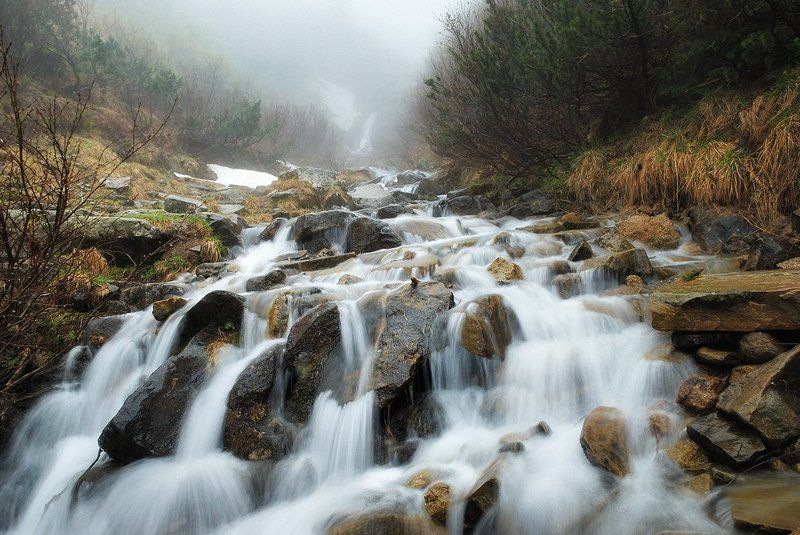 карпаты, лес, камни, водопад, ручей, d80 Карпаты, майские водопадики фото превью