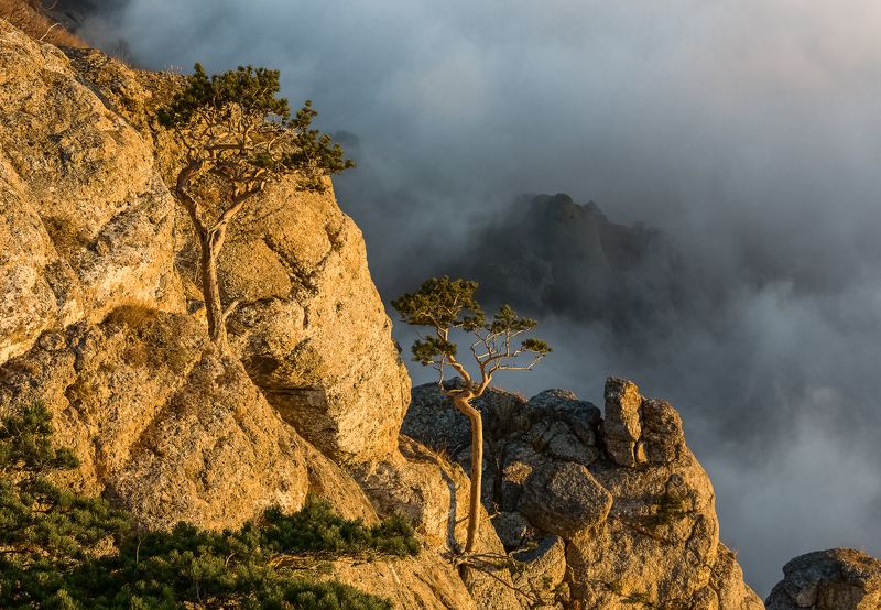 Демерджи, Крым Из жизни на Демерджи. фото превью