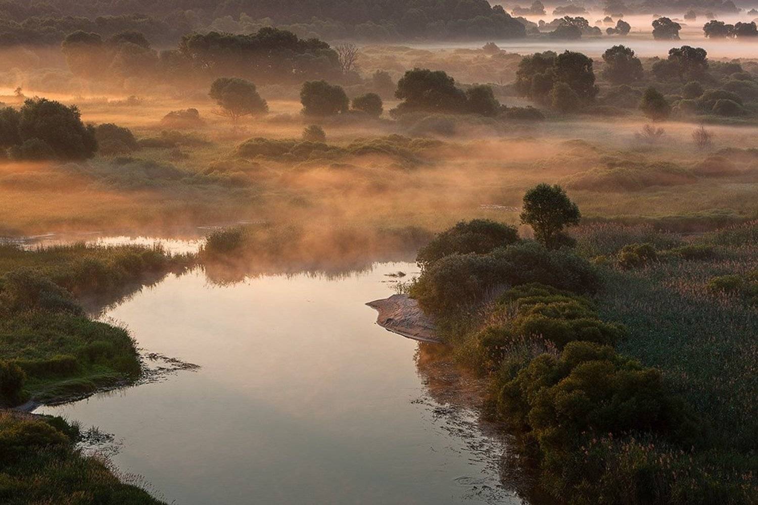 , Юрий Сорокин