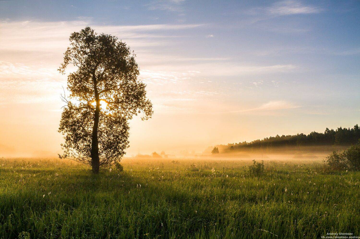 дубна, пейзаж, лето, рассвет, туман, canon, Андрей Олонцев