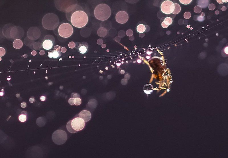 Ювелир. фото превью