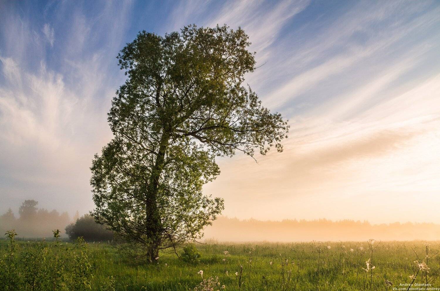 дубна, пейзаж, лето, рассвет, туман, canon, Андрей Олонцев
