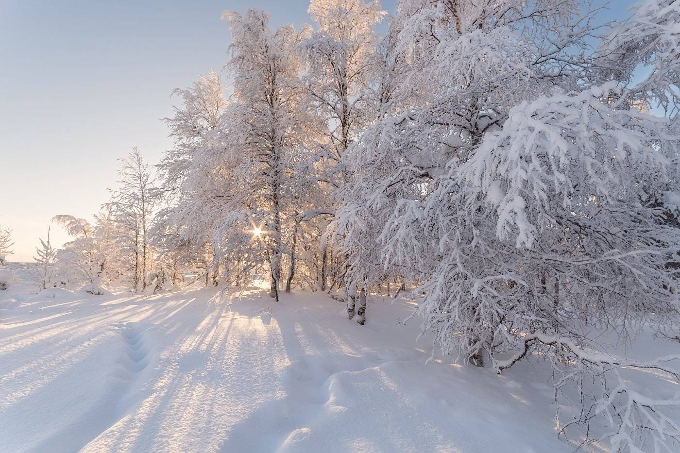 , Игорь Подобаев