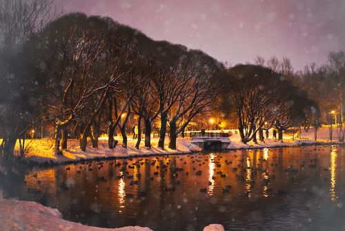 Вечер в парке