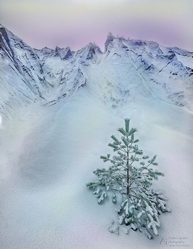 Зимняя сказка