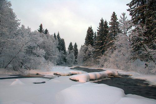 Лососинка