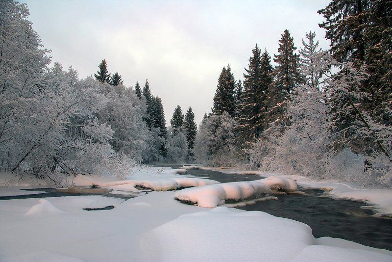 Лососинка фото превью