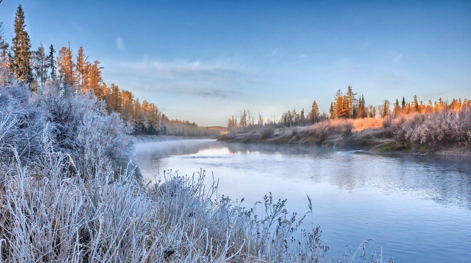 , Николай Андреев