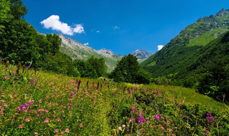 *** фото превью