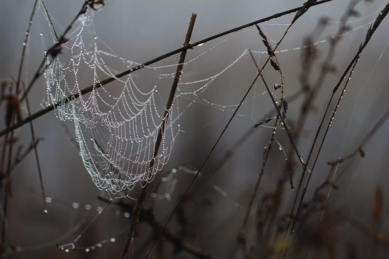Осенний этюд фото превью
