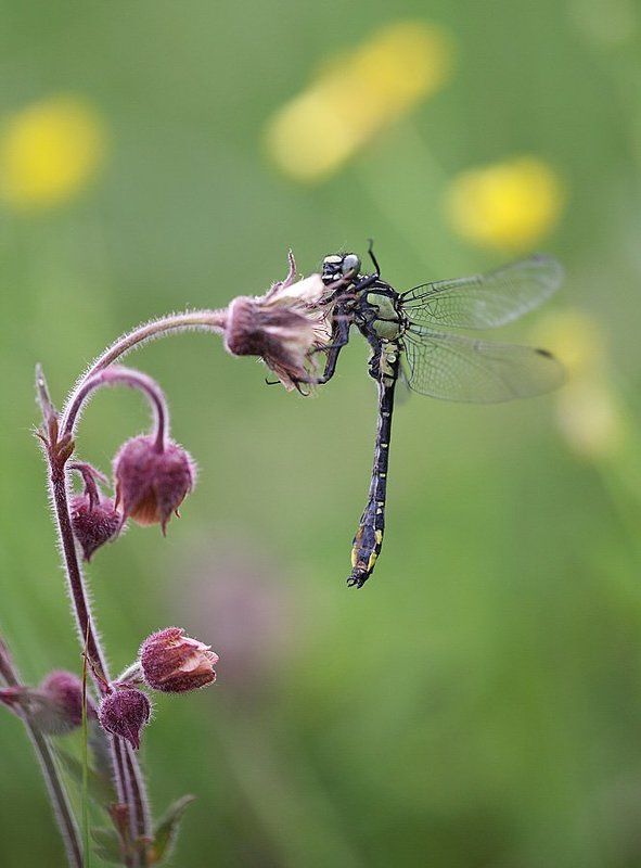 Скорее бы лето! фото превью