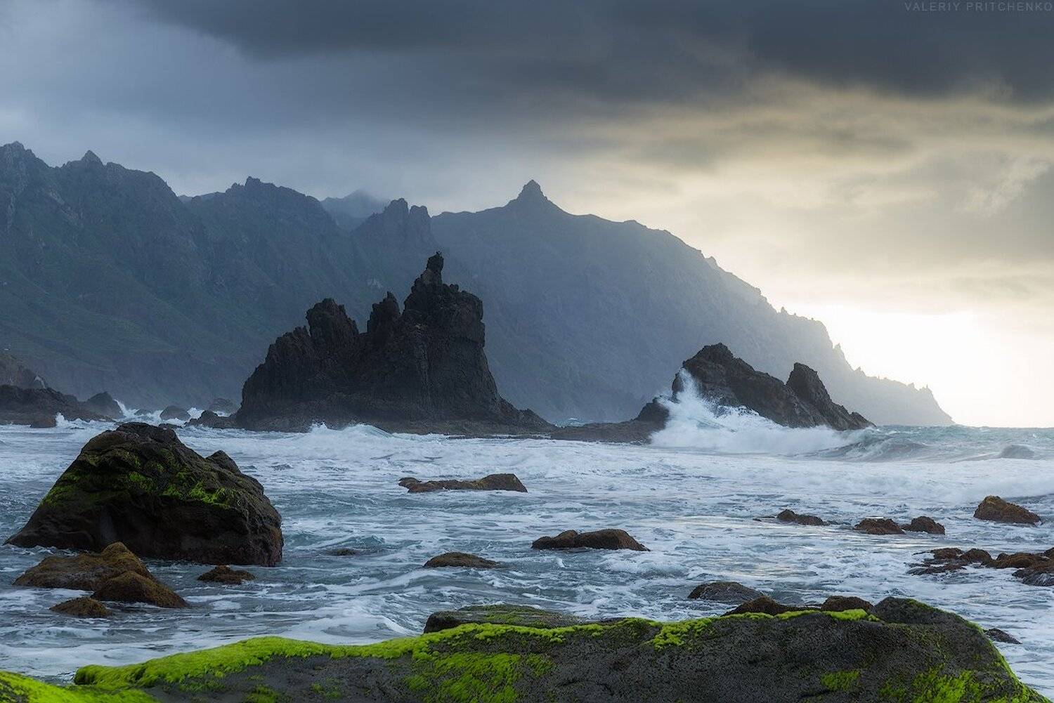 , Валерий Притченко